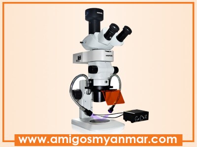 m-shot-stereo-fluorescence-microscope